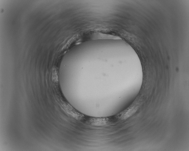 X0000057100384200509301623