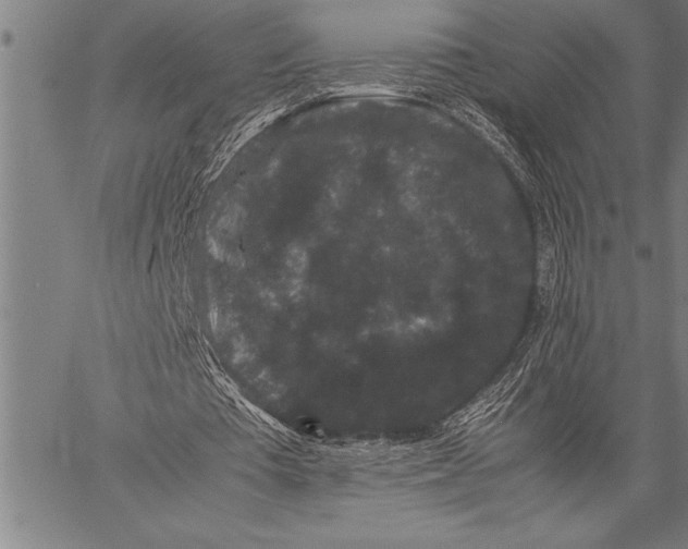 X0000057100385200509301622