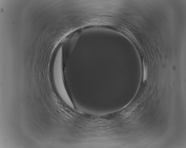 X0000057100387200509301622