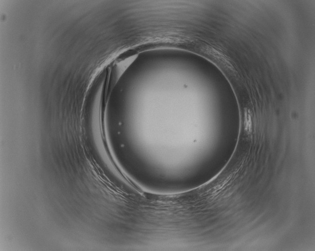 X0000057100388200509301622