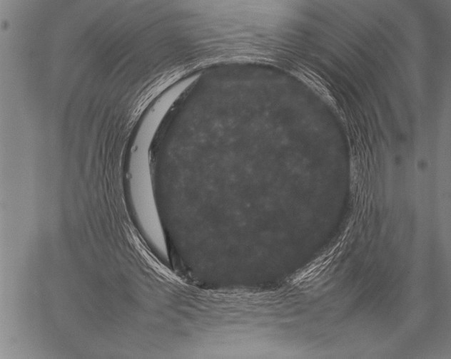 X0000057100389200509301622