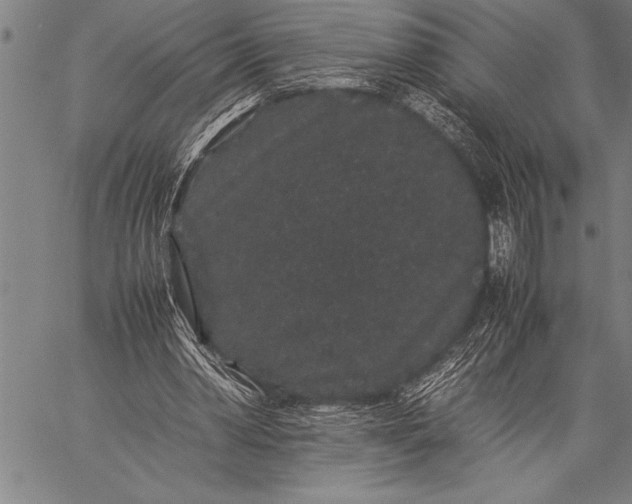 X0000057100390200509301622