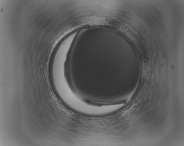 X0000057100391200509301622