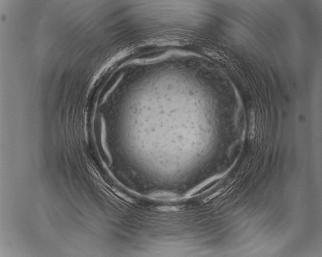 X0000057100392200509301622