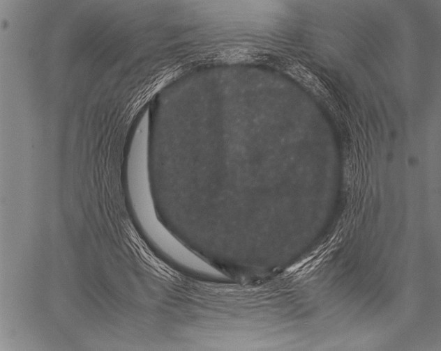 X0000057100393200509301622