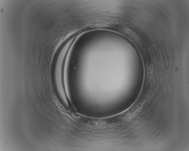 X0000057100395200509301622