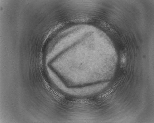 X0000057100396200509301622