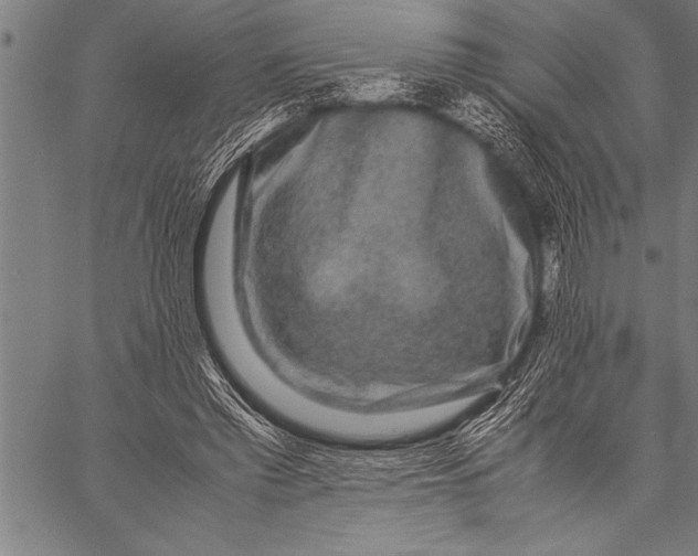 X0000057100397200509301622