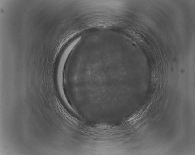 X0000057100399200509301622