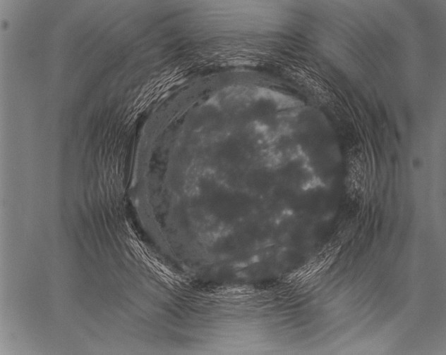 X0000057100402200509301622