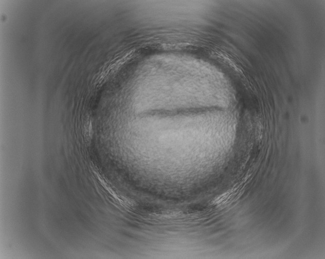 X0000057100405200509301622