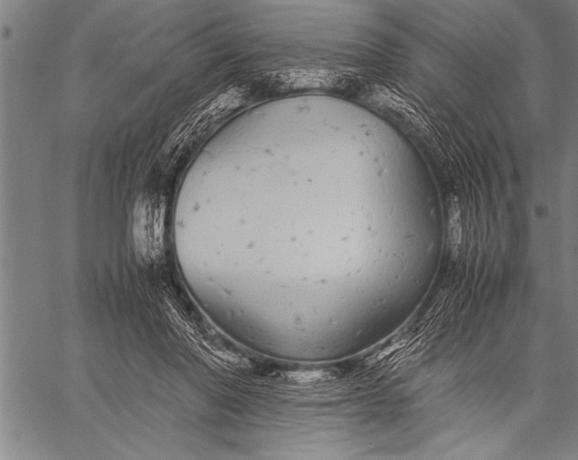 X0000057100406200509301622