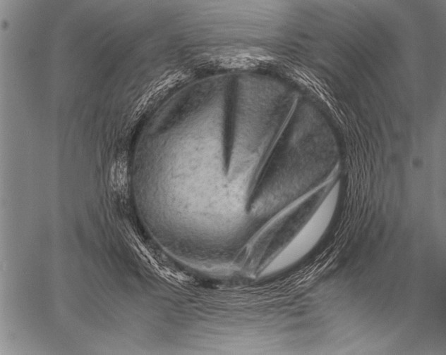 X0000057100407200509301622