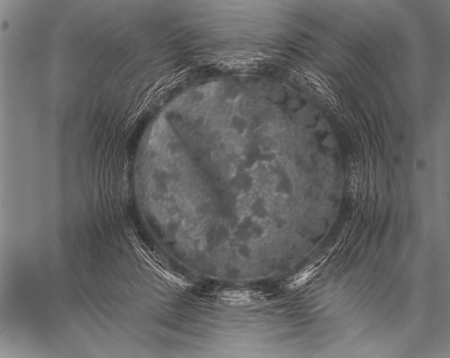 X0000057100408200509301622