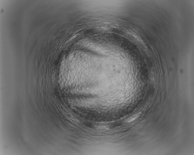 X0000057100409200509301622