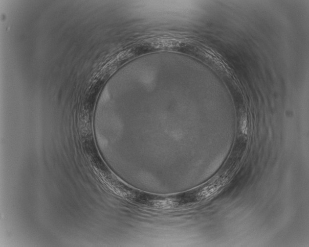 X0000057100411200509301622