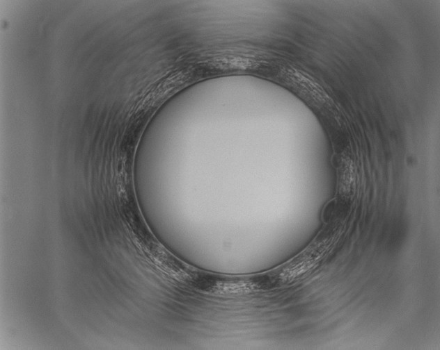 X0000057100414200509301622