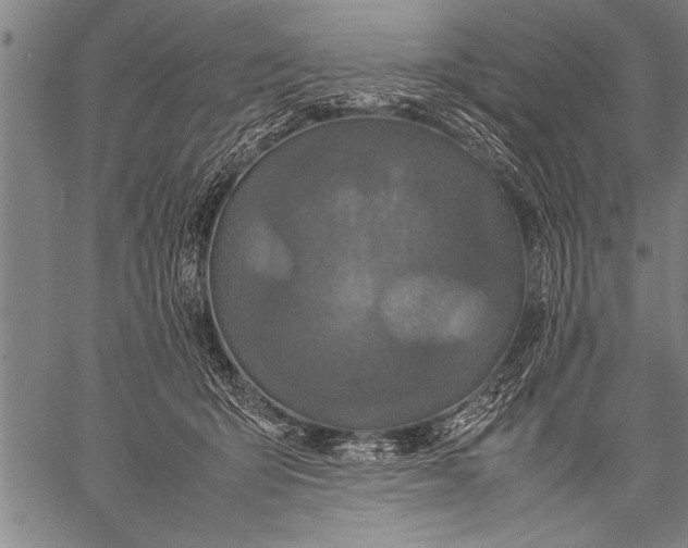 X0000057100415200509301622