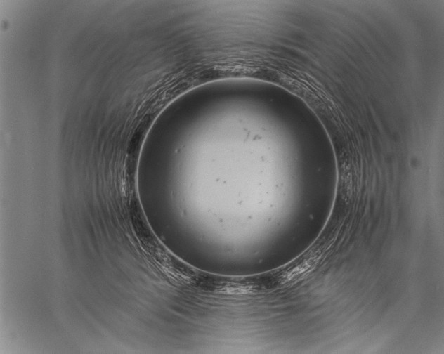 X0000057100416200509301622