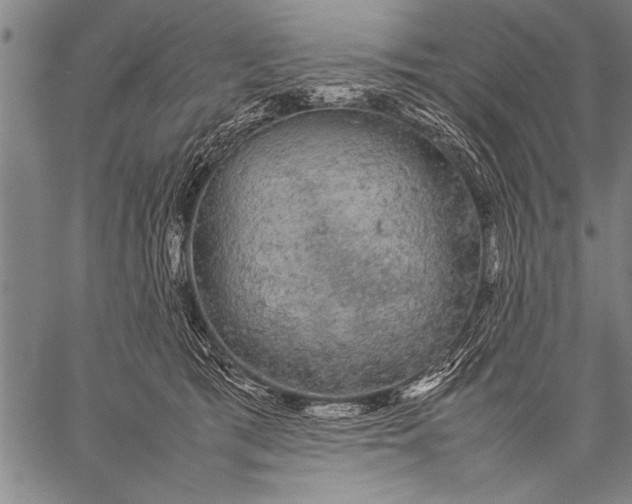 X0000057100417200509301622