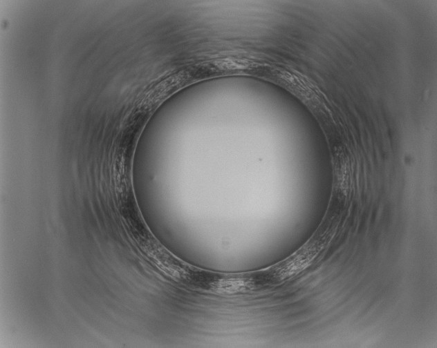 X0000057100418200509301622