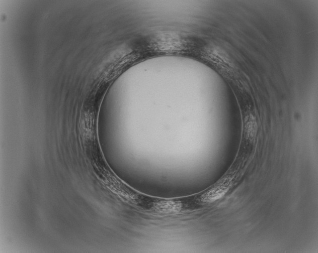 X0000057100421200509301622