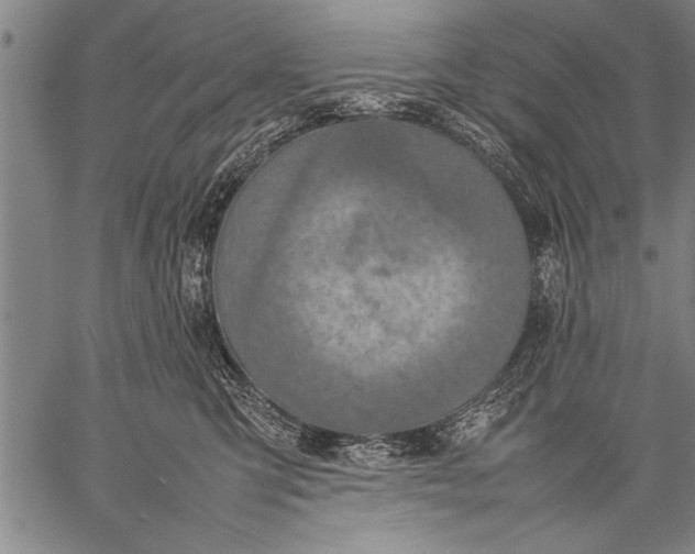 X0000057100423200509301622