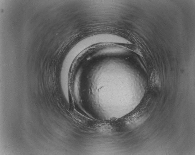 X0000057100424200509301622