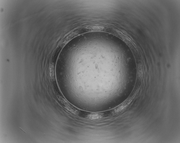 X0000057100425200509301622