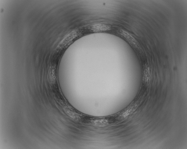 X0000057100426200509301622