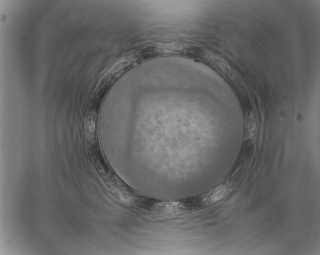 X0000057100427200509301622