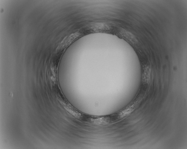 X0000057100430200509301622