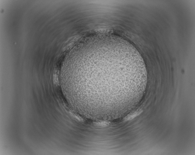 X0000057100432200509301622