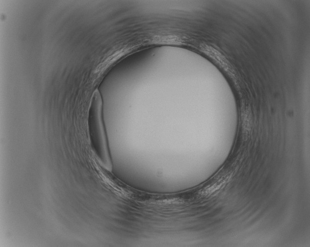 X0000057100433200509301621