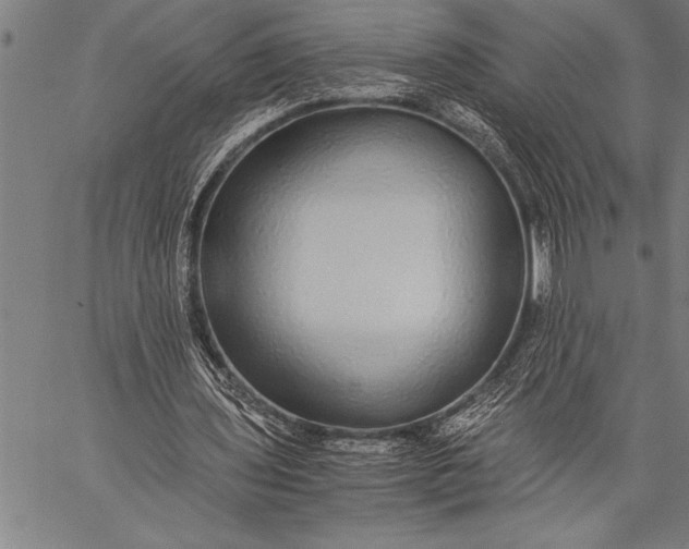 X0000057100435200509301621