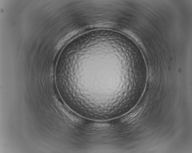 X0000057100437200509301621