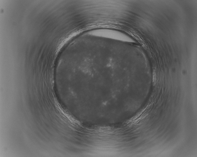 X0000057100438200509301621