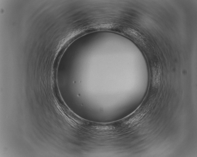 X0000057100439200509301621