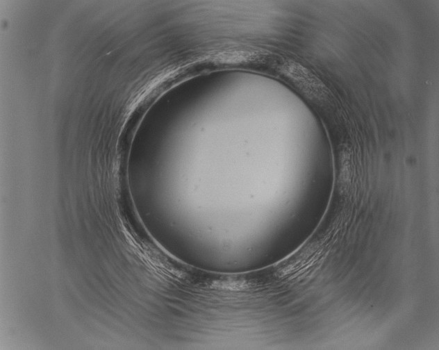 X0000057100440200509301621