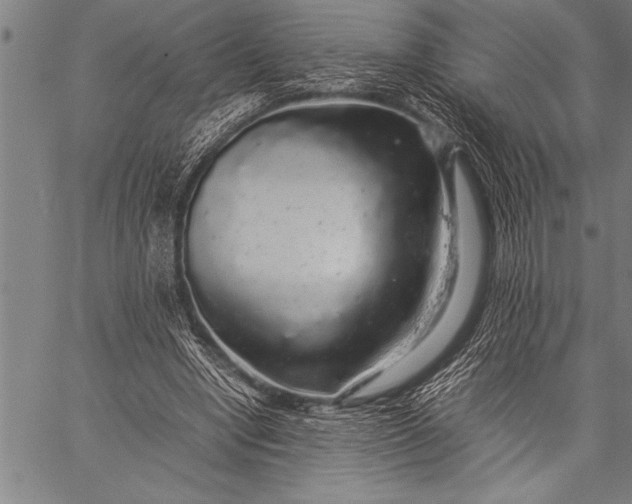 X0000057100442200509301621