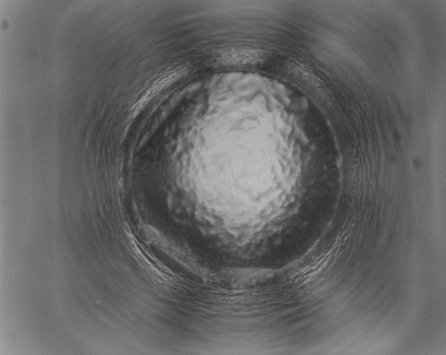 X0000057100443200509301621