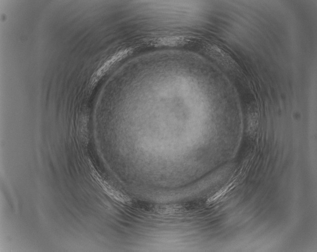 X0000057100444200509301621