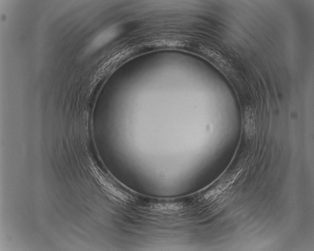 X0000057100445200509301621