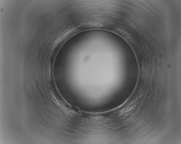 X0000057100446200509301621