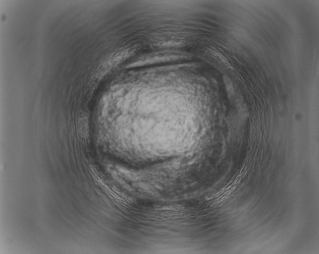 X0000057100447200509301621