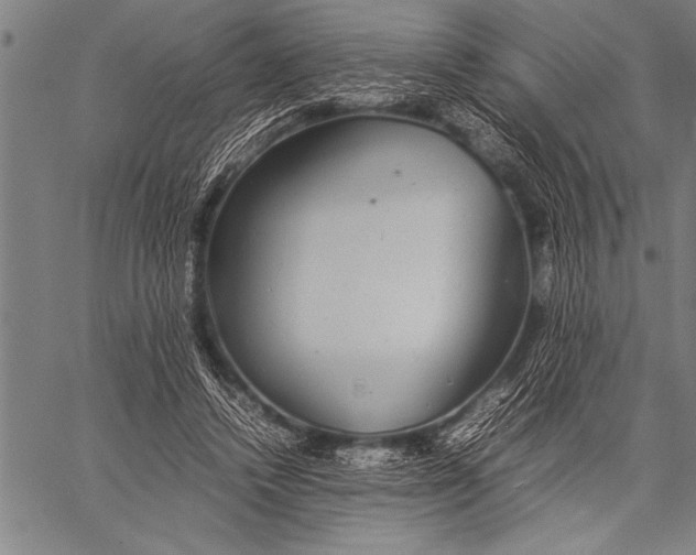 X0000057100448200509301621