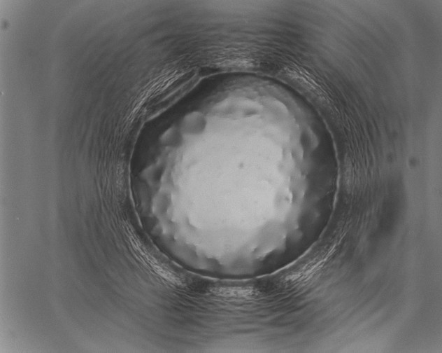 X0000057100449200509301621