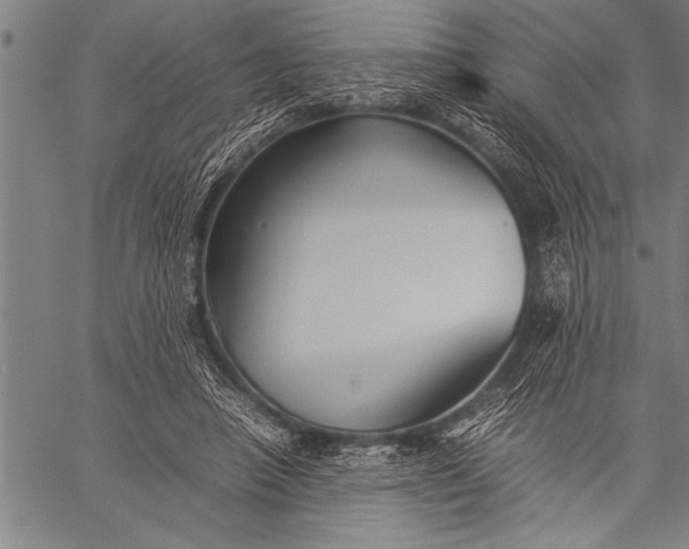 X0000057100450200509301621