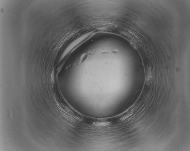 X0000057100452200509301621