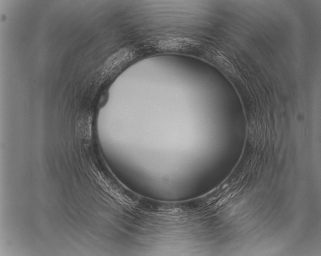 X0000057100454200509301621